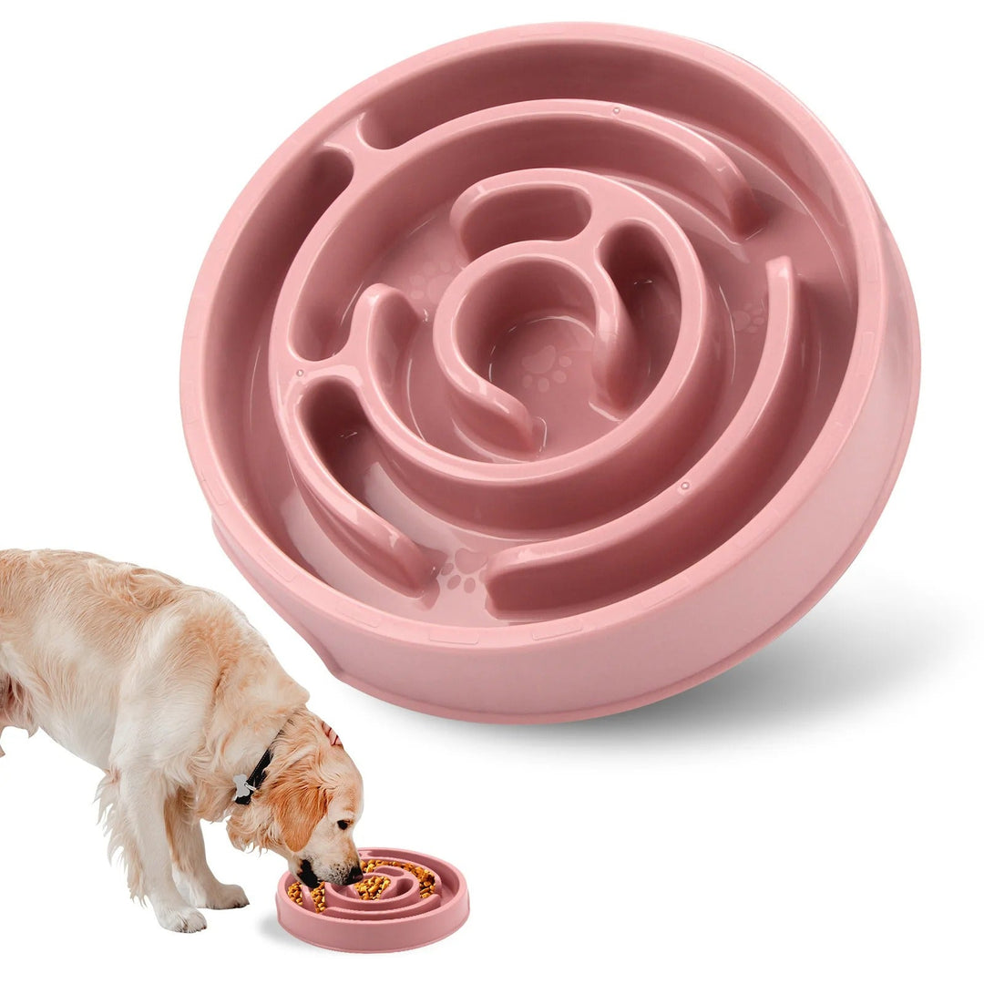 Slow Feed Pet Bowl Skanto