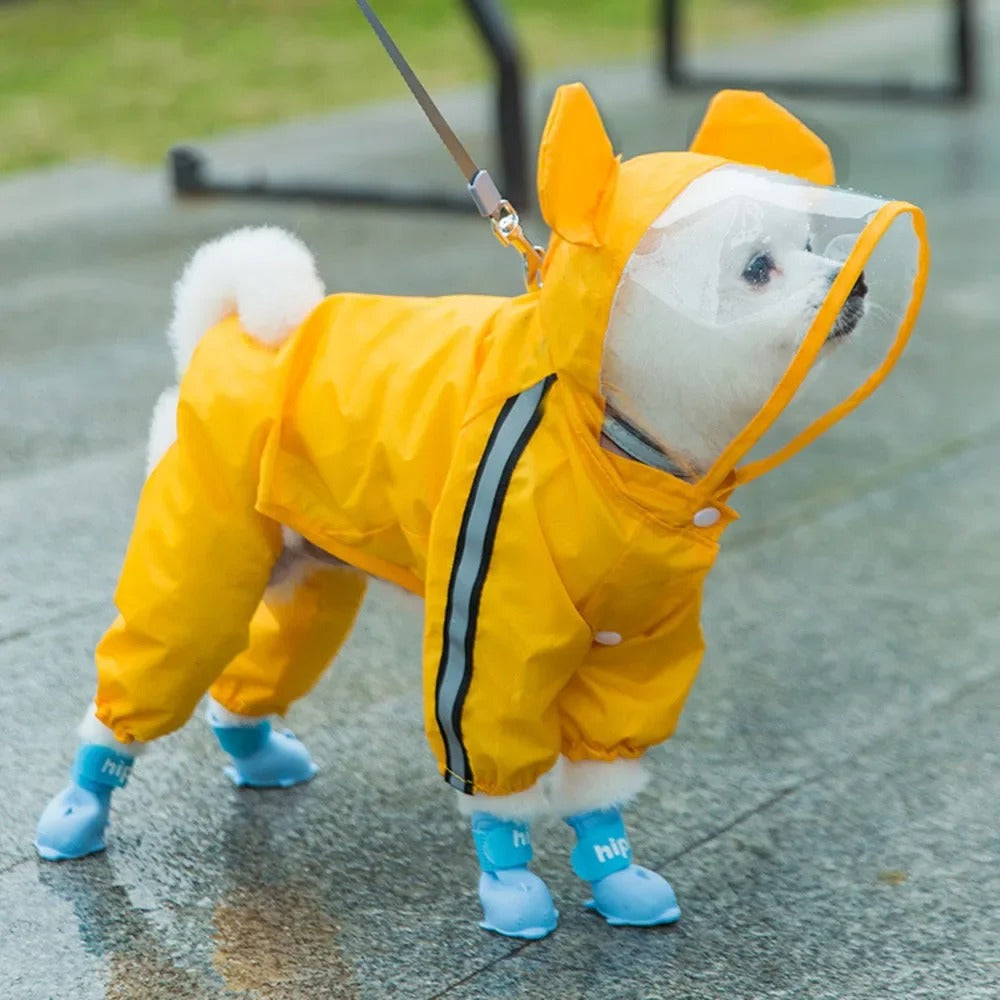 Skanto | Sjarmerende Bamse-tema Helkropp Hunderegntrekk med Reflekterende Sikkerhetsfunksjoner