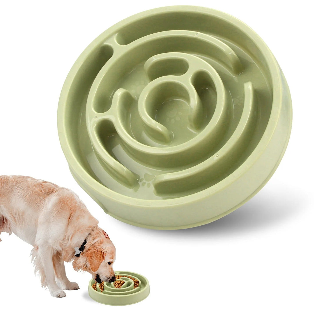 Slow Feed Pet Bowl Skanto