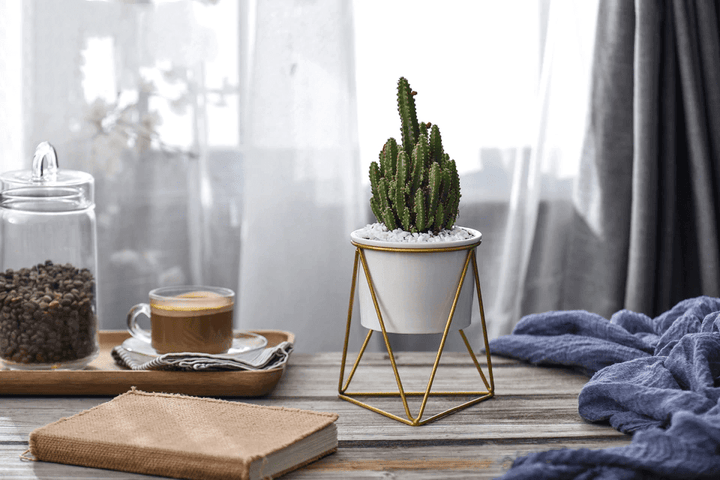 Skanto | LIVIA – Elegant blomsterpotte for stilfull dekorasjon