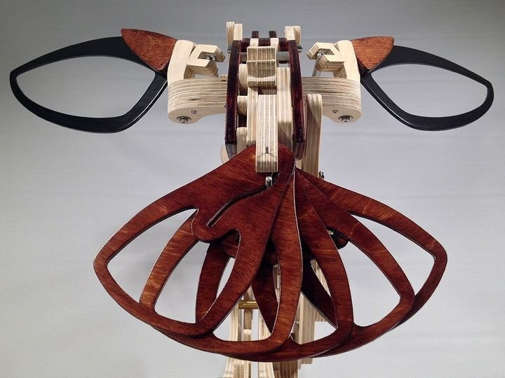 Skanto | 3D Tre Mekanisk Kolibri og Tre Mekanisk Skilpadde
