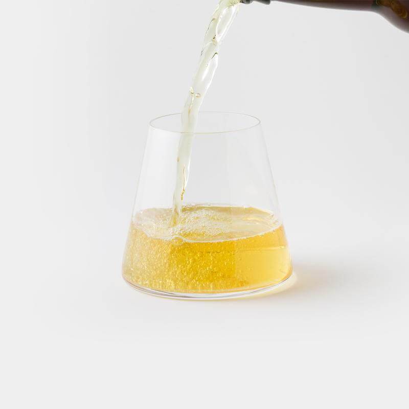 Mt. Fuji Glass | Skanto