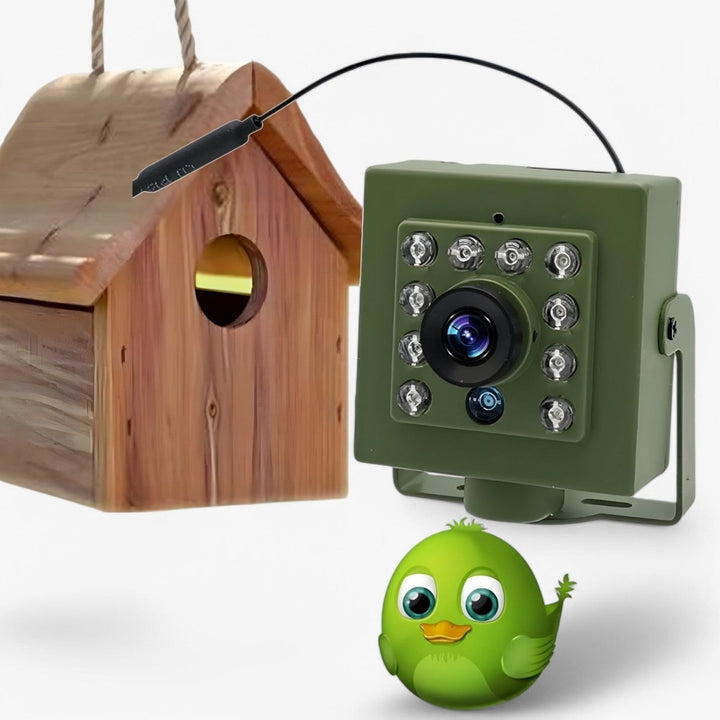 Skanto | Nestcam WLAN Fugl Reir Kamera – 1080p HD Vanntett Villmarks Kamera med Nattvision, Bevegelsesdeteksjon, og Fjernadgang