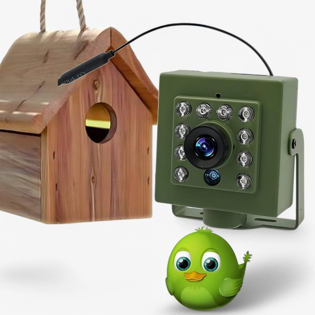 Nestcam WLAN-Vogelnestkamera – Wetterfeste 1080p HD-Wildtierkamera mit Nachtsicht, Bewegungserkennung und Fernzugriff