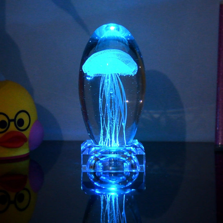 Fargeendrene Maneter Nattlampe | Skanto