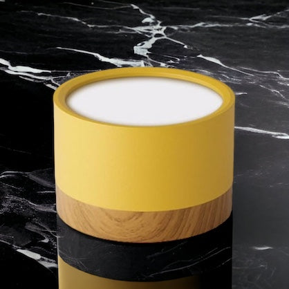 Skanto | BeamLuxe – Energieffektiv LED Takspot i moderne stil