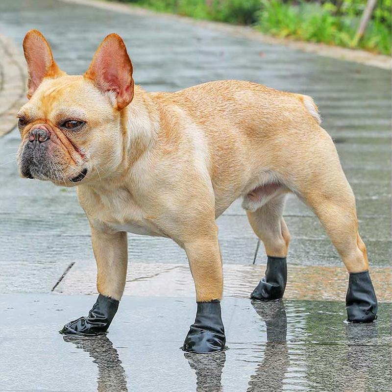 Skanto | PootShield Vanntette Hundesko med Grip og Beskyttende Komfort