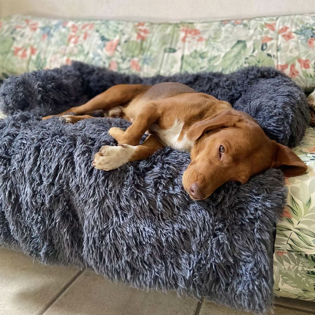 Skanto | PLUSHGUARD