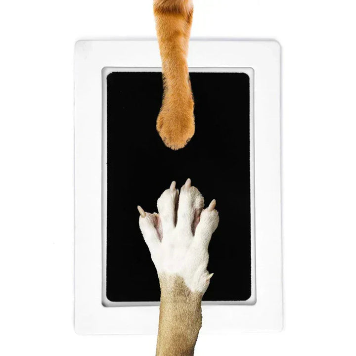 Paw Print Set - PawPrint Minnebolle