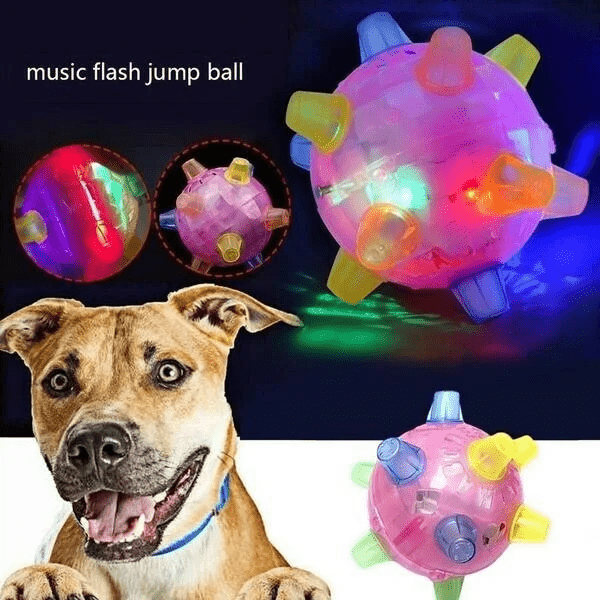 Skanto | PAWBOUNCE – Interaktivt LED Bouncing Ball for Hunder