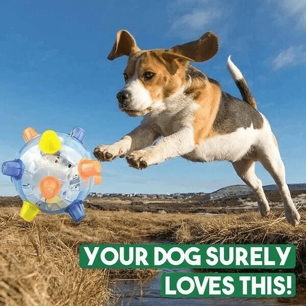Skanto | PAWBOUNCE – Interaktivt LED Bouncing Ball for Hunder