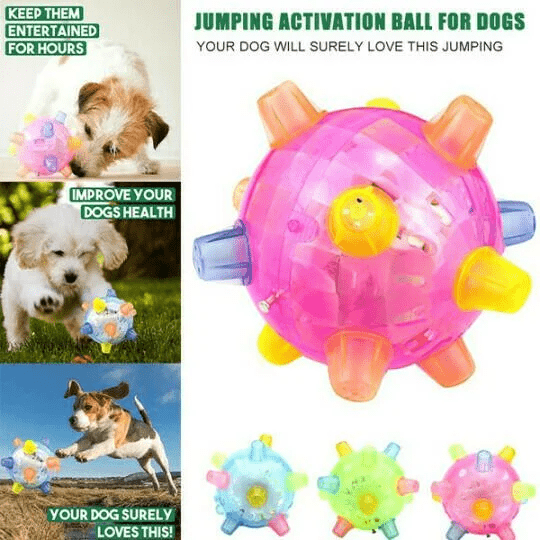 Skanto | PAWBOUNCE – Interaktivt LED Bouncing Ball for Hunder