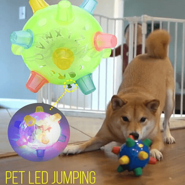 Skanto | PAWBOUNCE – Interaktivt LED Bouncing Ball for Hunder