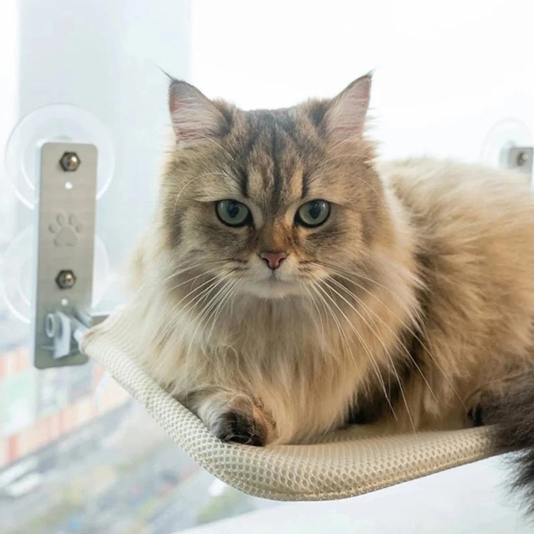 Skanto | PAWPERCH – Sammenleggbar kattehytte med veggvennlig feste | Ingen boring vindussete