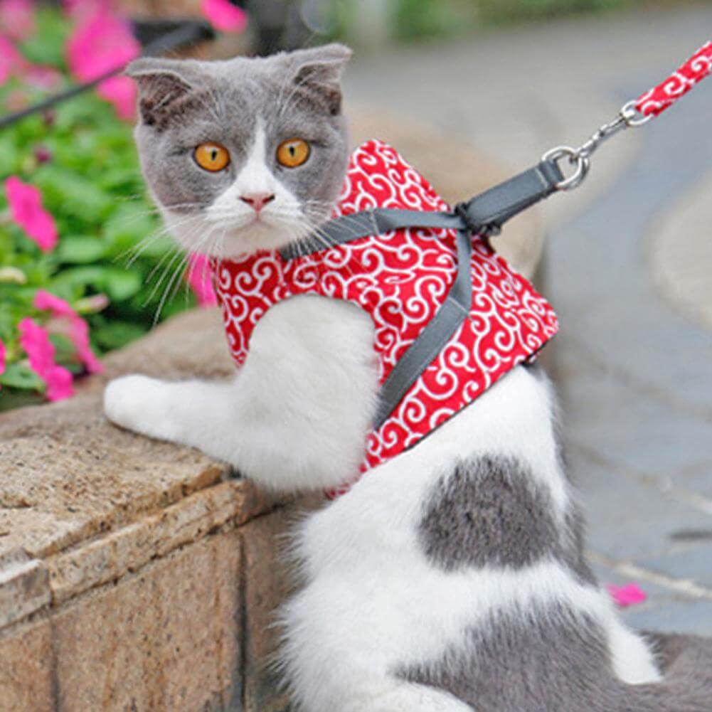 Skanto | PAWVENTURE HARNESS – Katt Sele Vest Sett med Pustende Nett & Bånd