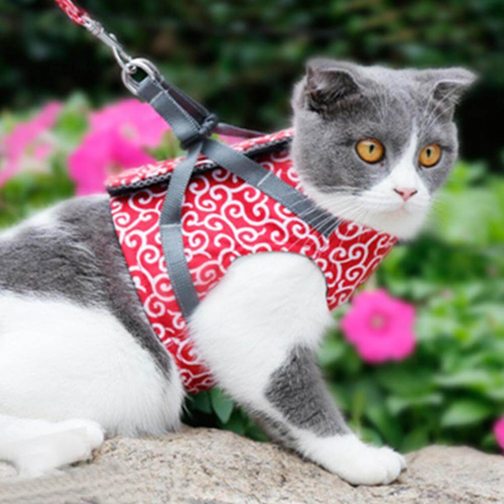 Skanto | PAWVENTURE HARNESS – Katt Sele Vest Sett med Pustende Nett & Bånd