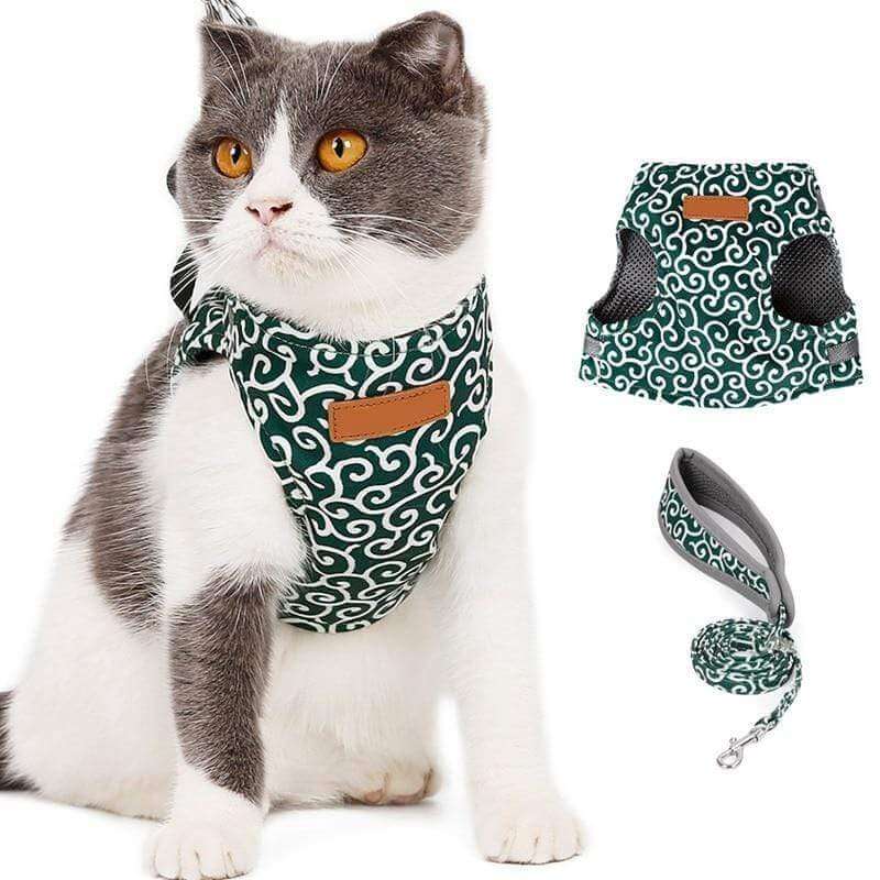 Skanto | PAWVENTURE HARNESS – Katt Sele Vest Sett med Pustende Nett & Bånd