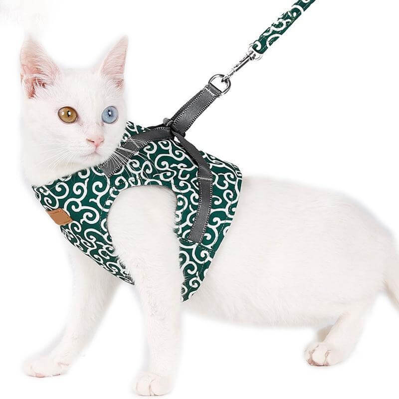 Skanto | PAWVENTURE HARNESS – Katt Sele Vest Sett med Pustende Nett & Bånd