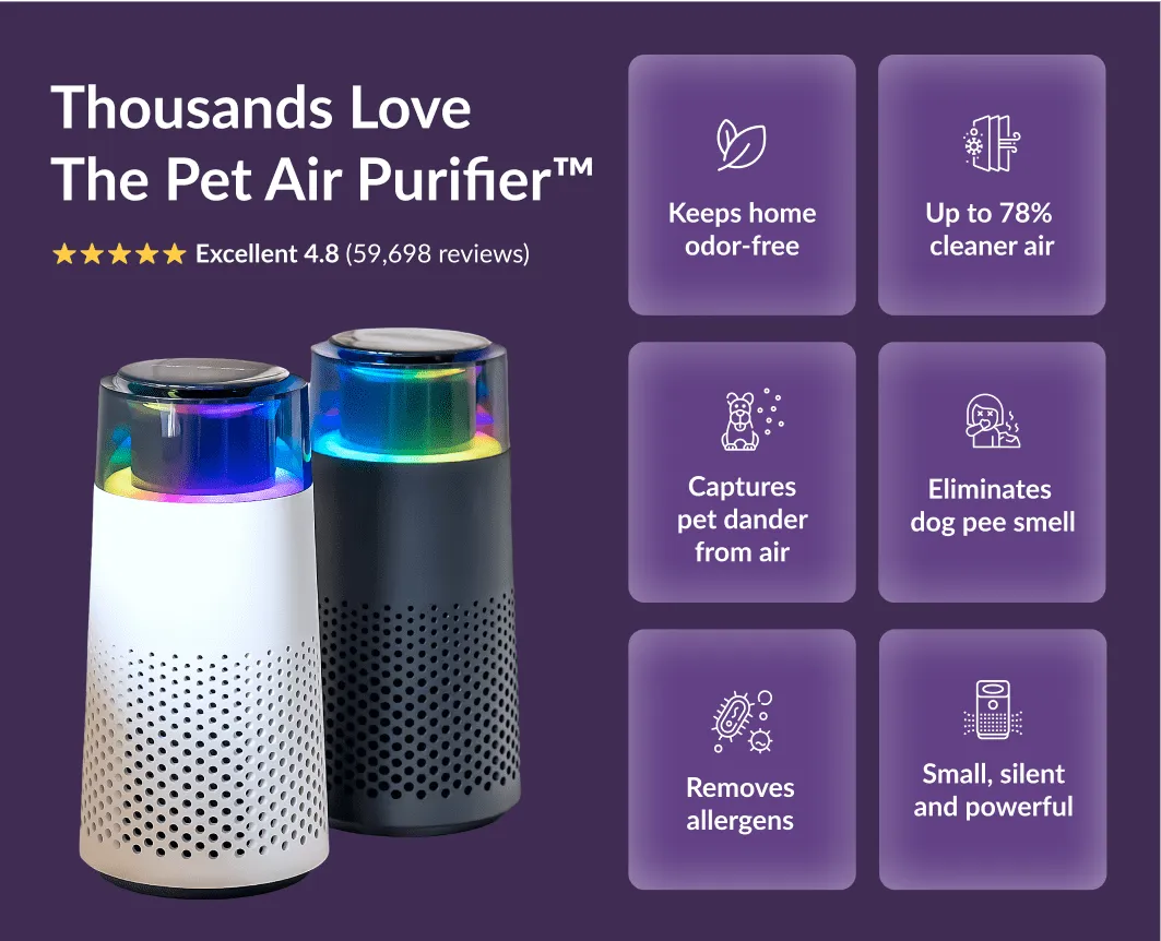 Pet Odour Humidifier – PetFresh Skanto