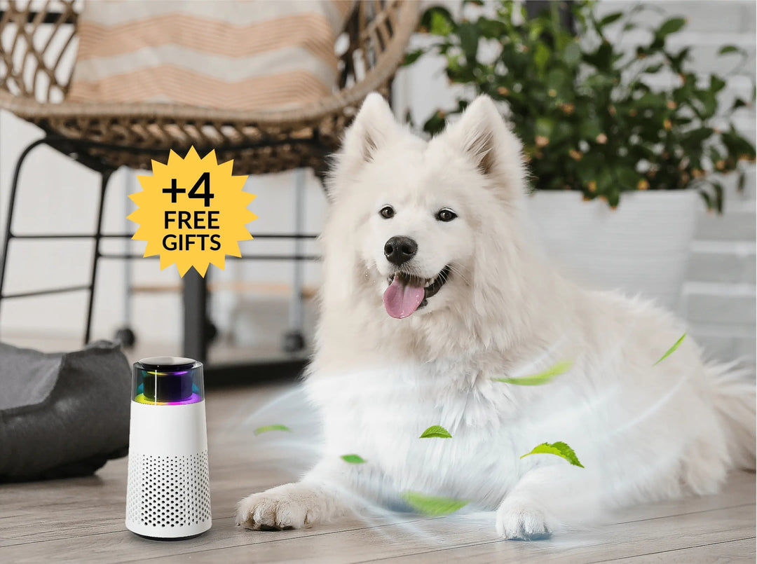 Pet Odour Humidifier – PetFresh Skanto