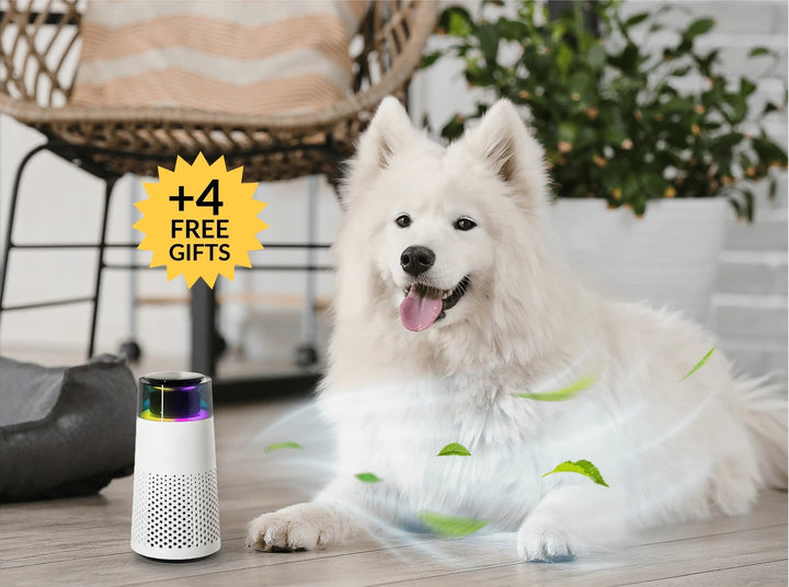 Pet Odour Humidifier – PetFresh Skanto