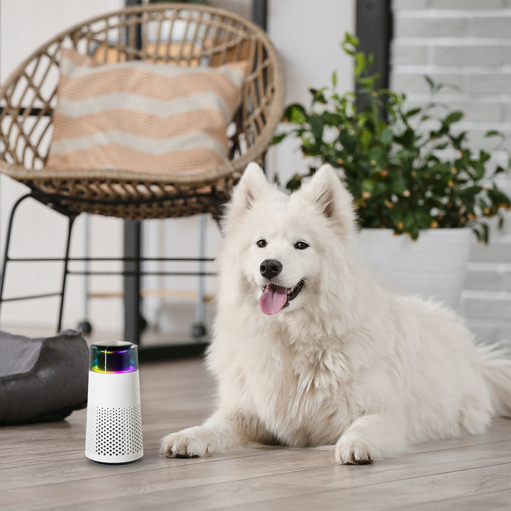 Pet Odour Humidifier – PetFresh Skanto