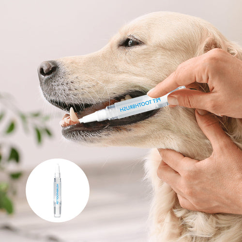 Pet Toothbrush Pen – PetSmile Skanto