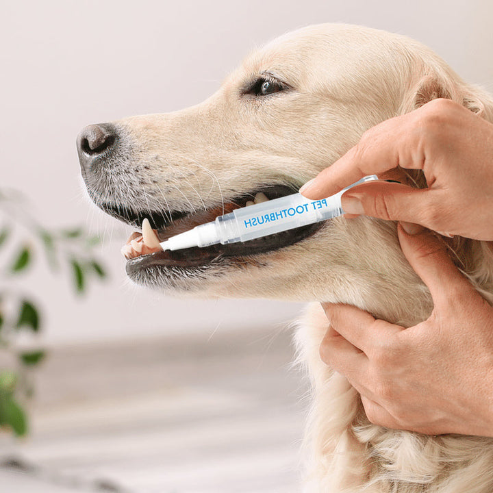 Pet Toothbrush Pen – PetSmile Skanto