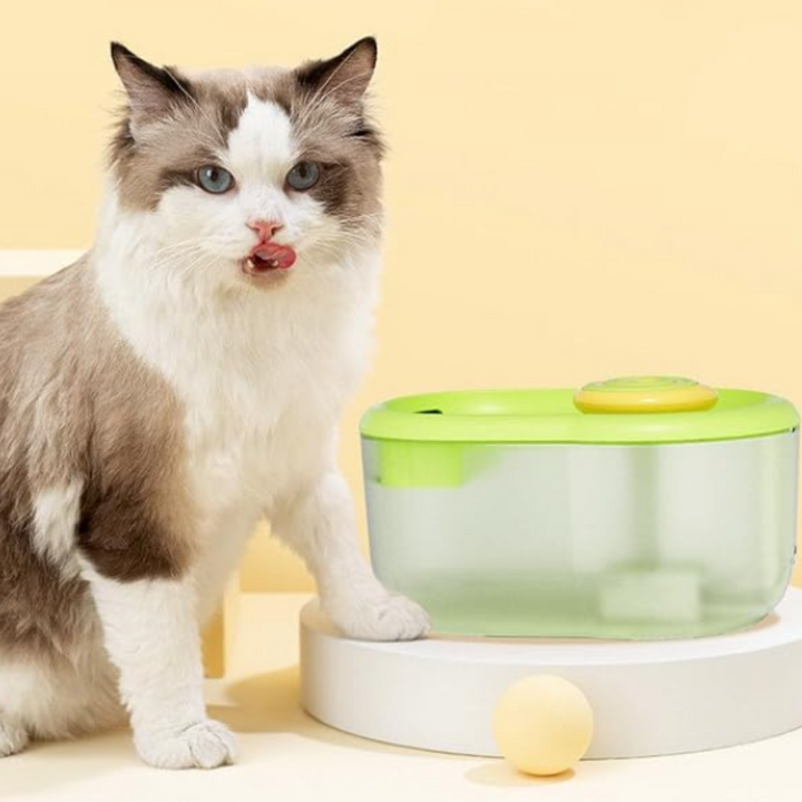 Pet Water Drinking Bowl with Pump - FunFlow Skanto
