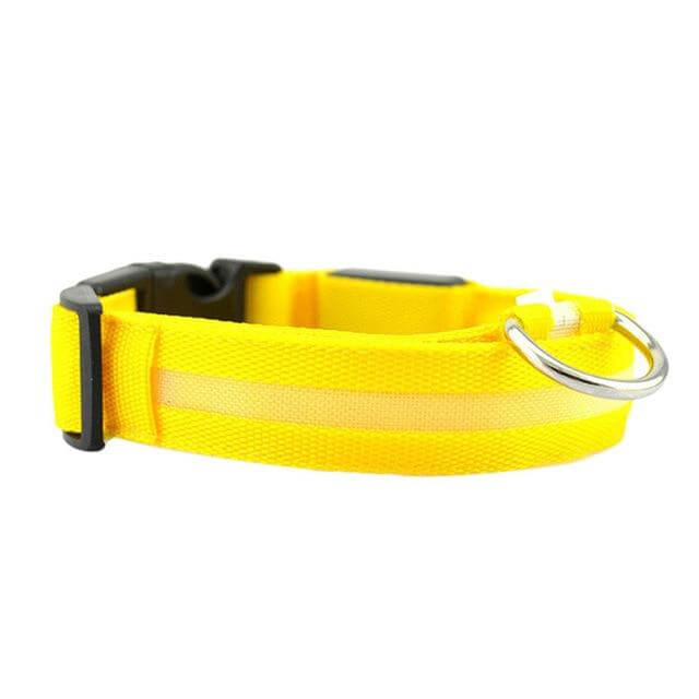 GlowPets LED-Halsband – Sicherheit og Sichtbarkeit für Haustiere