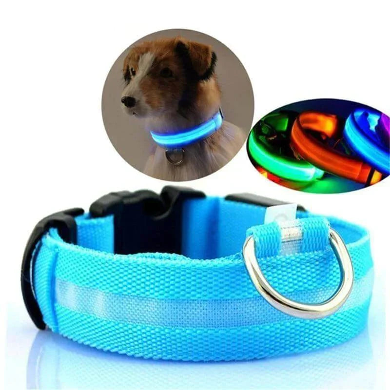 Skanto | GlowPets LED Halsbånd – Sikkerhet & Synlighet for Kjæledyr