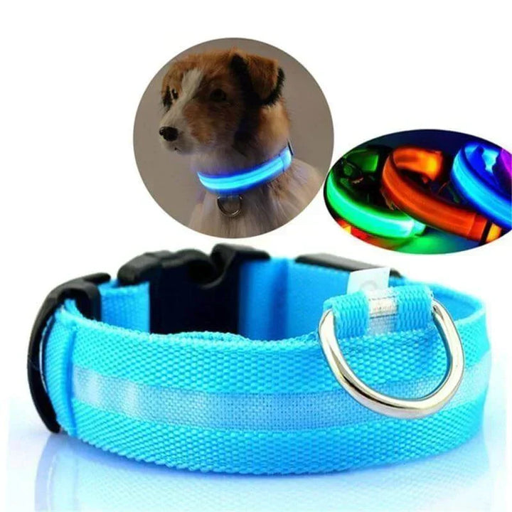 GlowPets LED-Halsband – Sicherheit og Sichtbarkeit für Haustiere