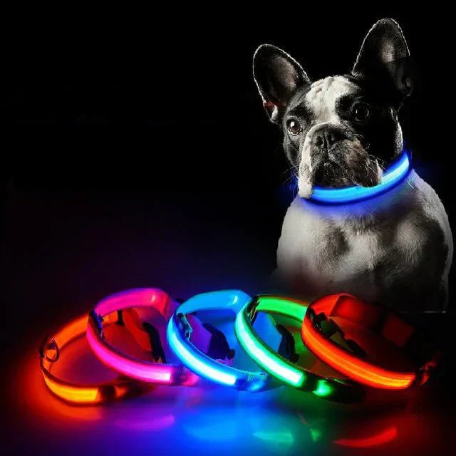 GlowPets LED-Halsband – Sicherheit og Sichtbarkeit für Haustiere