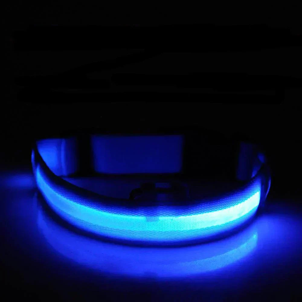GlowPets LED-Halsband – Sicherheit og Sichtbarkeit für Haustiere