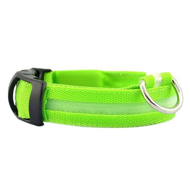 Skanto | GlowPets LED Halsbånd – Sikkerhet & Synlighet for Kjæledyr