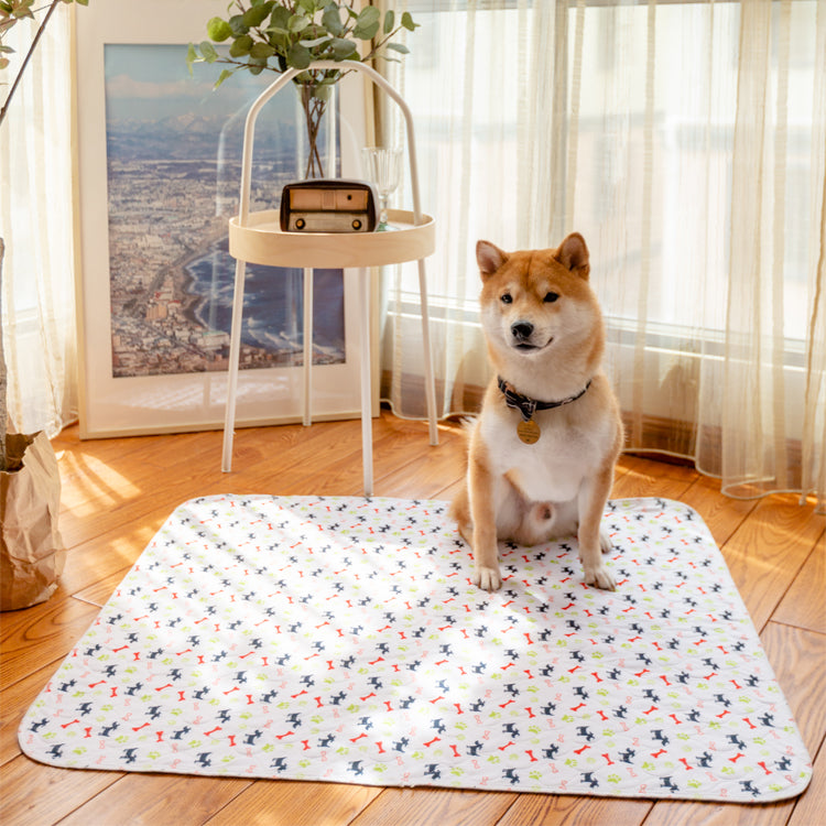 PetPaws Comfort Mat – Lekkasjefri Kjæledyrmatte Skanto