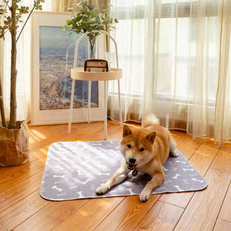 PetPaws Comfort Mat – Lekkasjefri Kjæledyrmatte Skanto