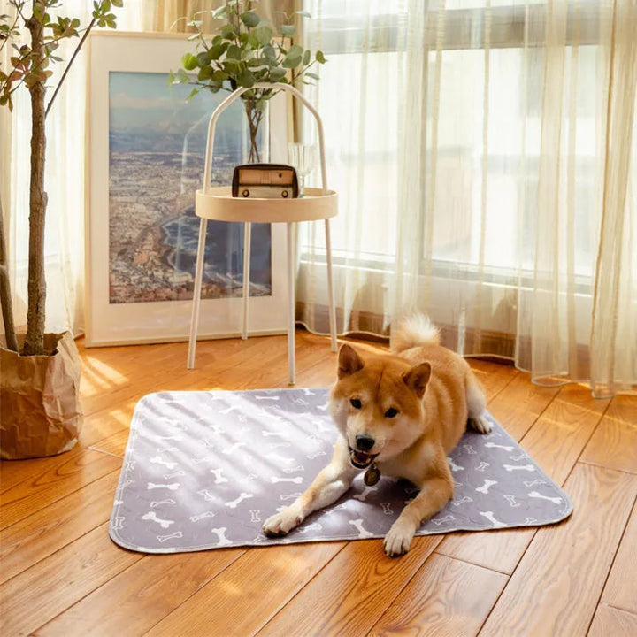 PetPaws Comfort Mat – Lekkasjefri Kjæledyrmatte Skanto