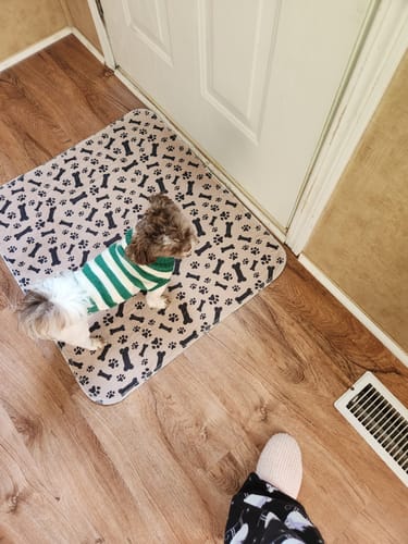 PetPaws Comfort Mat – Lekkasjefri Kjæledyrmatte Skanto
