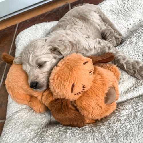 Norvo | Snuggle Puppy - Angsts- og ensomhetsdempende kosedyr
