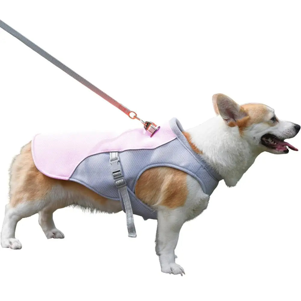 Hund Küling Vest for Utendørs Aktiviteter | Skanto