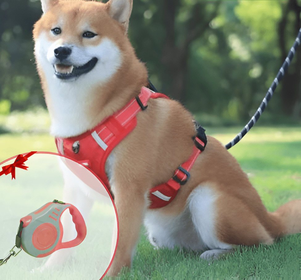 DogGrip Gå trygt med hunden din | Skanto