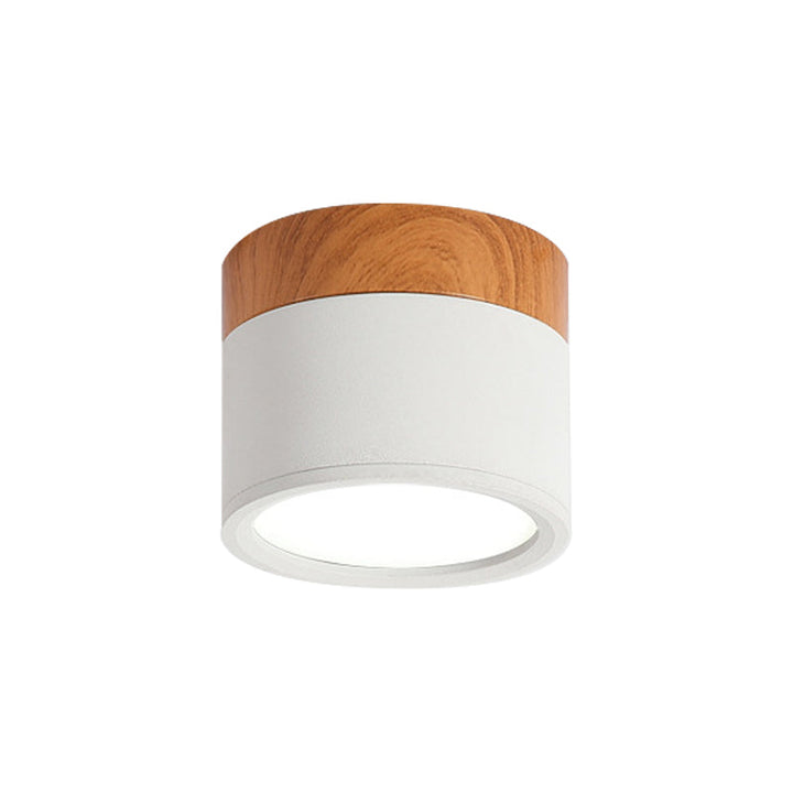 Skanto | Elegance of Light Liten taklampe med en unik glød