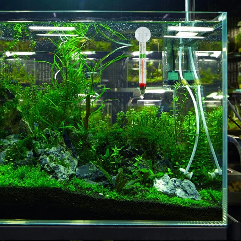 Flytende Akvarium Termometer Fiskekar Glass Temperaturmåling Verktøy Med Sugekop Fahrenheit Celsius Tilbehør | Skanto