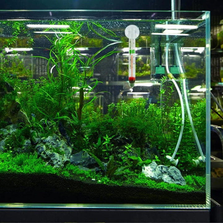 Flytende Akvarium Termometer Fiskekar Glass Temperaturmåling Verktøy Med Sugekop Fahrenheit Celsius Tilbehør | Skanto
