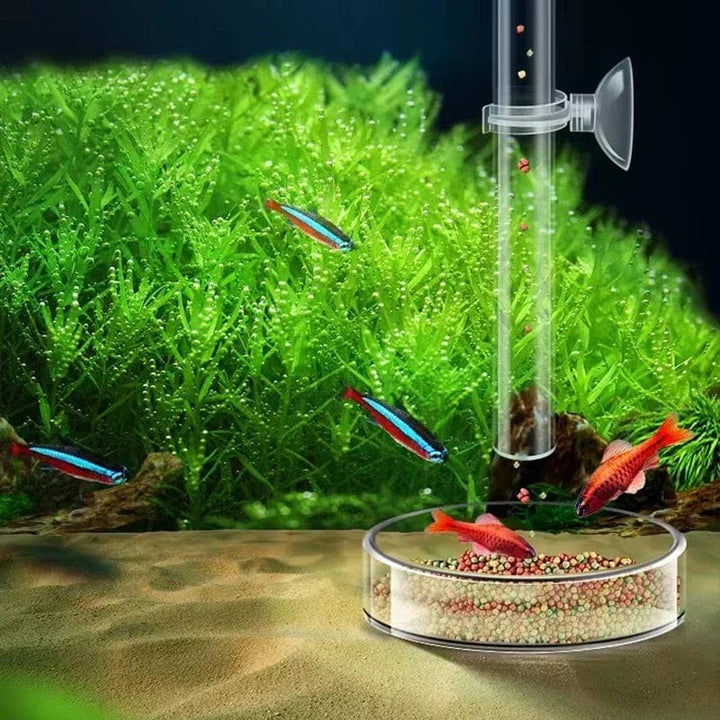 Akrilik Akvarium Fôring Rør Fat Transparent Fiskekar Reker Snail Reke Fôringsbolle Akvarium Fôring Tilbehør | Skanto