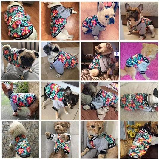 Norvo | Hundeklær Vinter Varme Liten Hundemantel Jakke Tykkelse Morsom Søt Kjæledyr Hundekostyme Pug Fransk Bulldog Klær for Små Hunder 35
