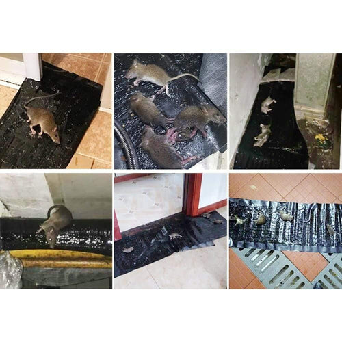 4 Stykker Anti-Rott Stor Stor Klistreplanke for Rodenter Mold Musfelle Rotte Musfelle Svart Usynlig Mus Limfelle - 4 Stykker