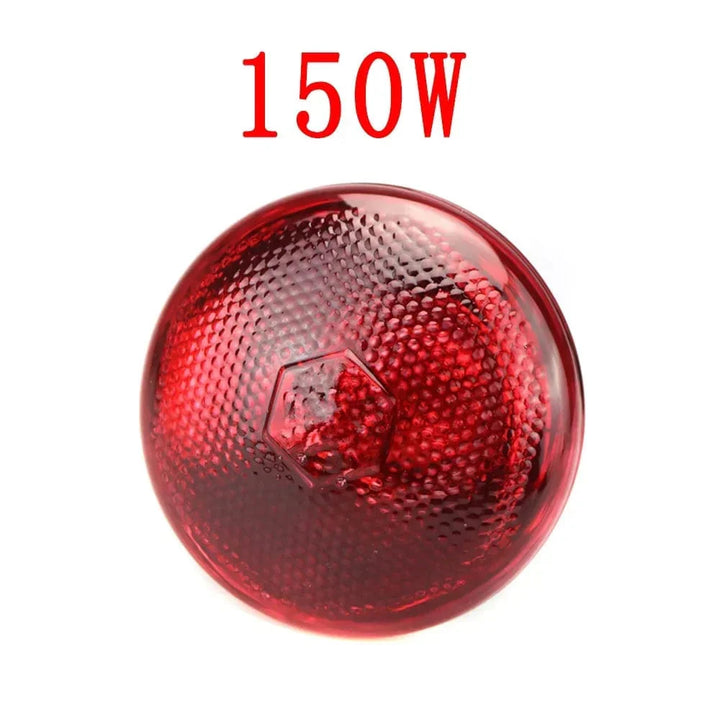 220V Fjærfe Varmpære 100/150/200/275W Infrarød Isoleringsvarme for Reptiler Planter Amfibier Kjæledyr Husdyr | Skanto