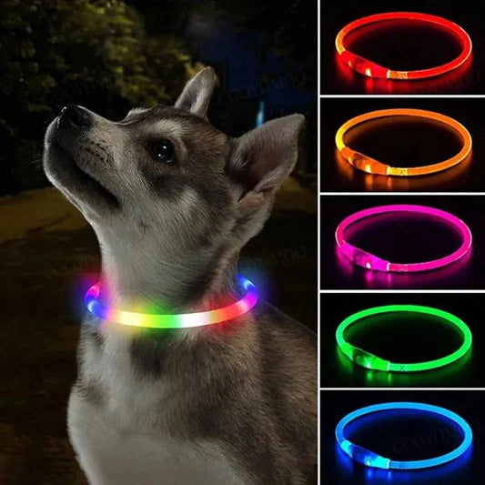 Norvo | 3 Modi Hund Luminous Ladehalsband Led Usb Katt Silikon Farger Halsbånd Avtagbar Nattslysende Kjæledyr Tapforebygging Hundetilbehør